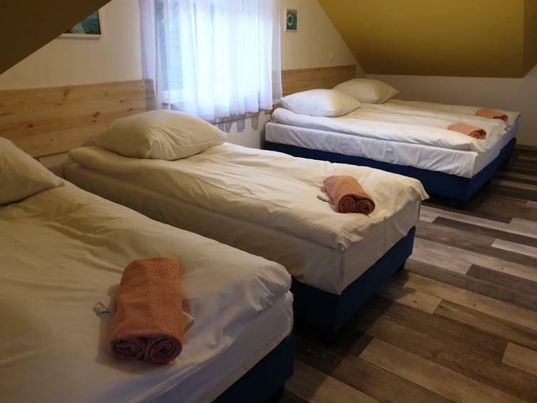 B&B Villa Varmia Frombork Eksteriør billede